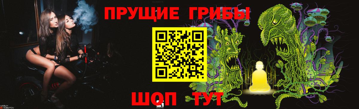 Галлюциногенные грибы прущие грибы Тейково